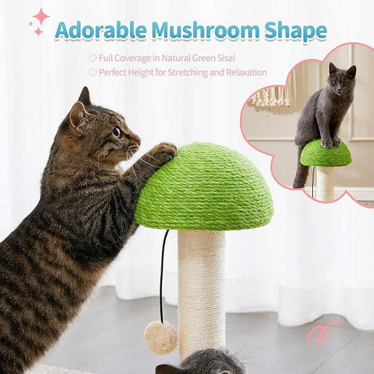 Mushroom Sisal Rope 2-in-1 Wooden Interactive Ball Track Cat