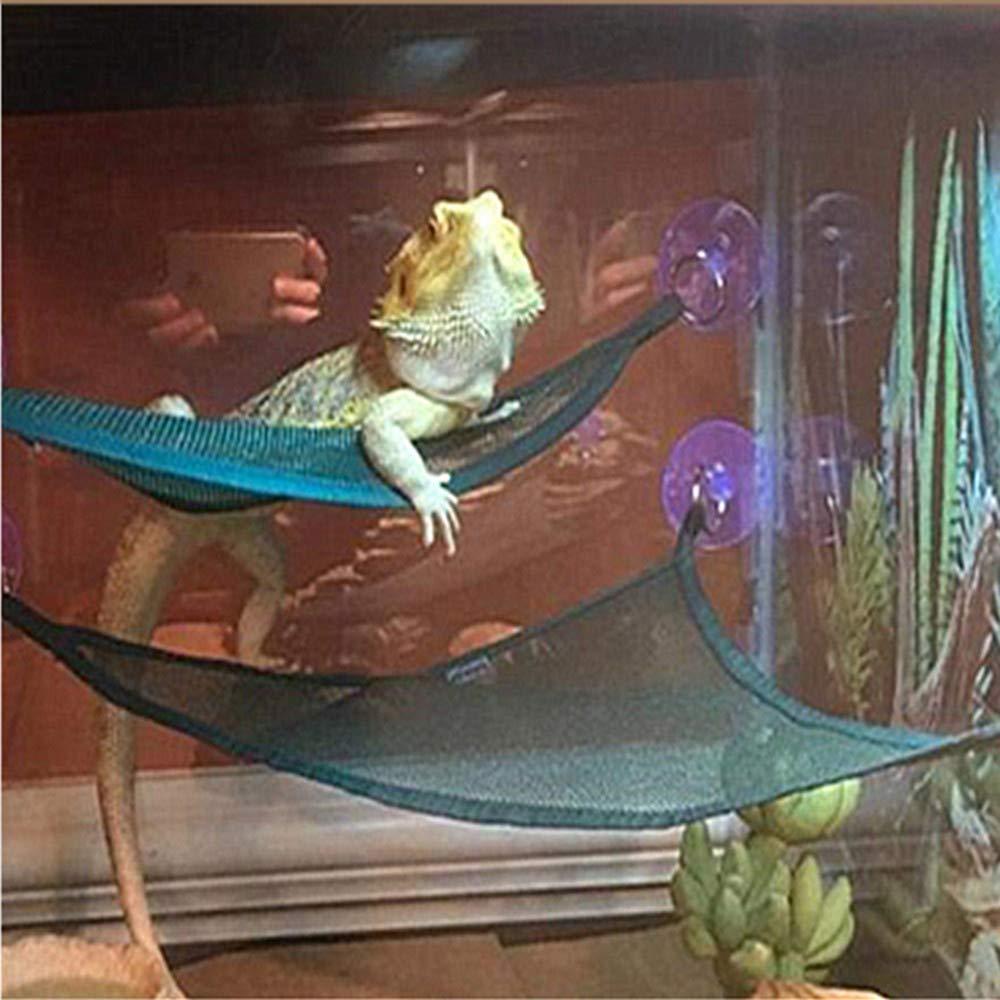 Reptile Hammock Lizard Snake Pet