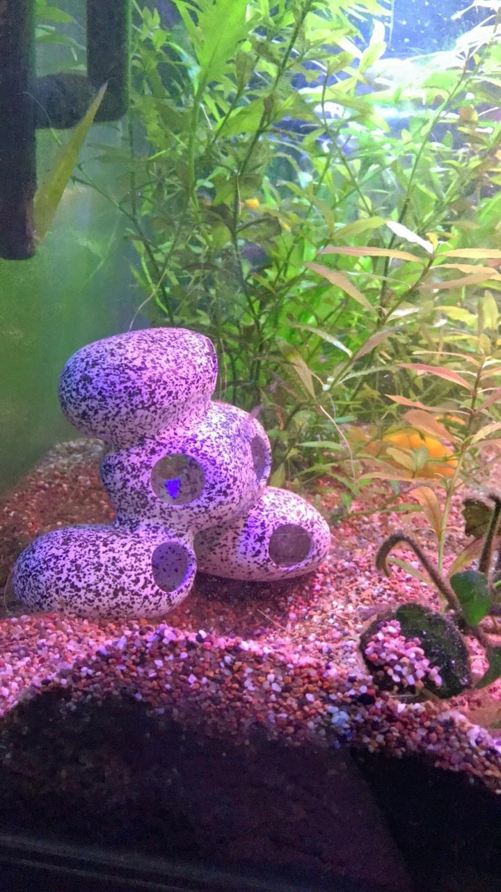 Fish Tank Stone View Decorative Landscaping And Shrimp House