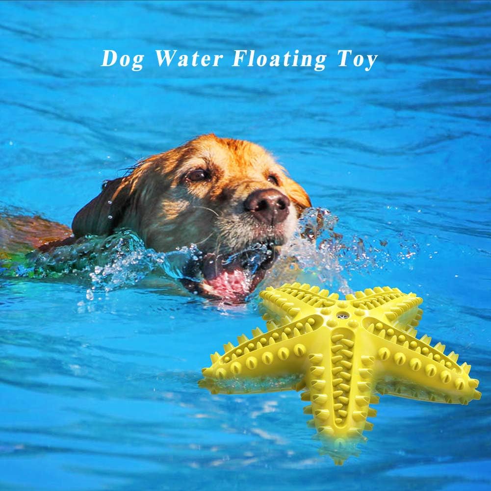 Sounding Starfish The Natural Toothbrush For Small And Medium Dogs