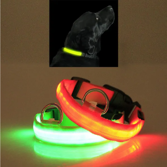 LED Pet Safety Halo Style Collar