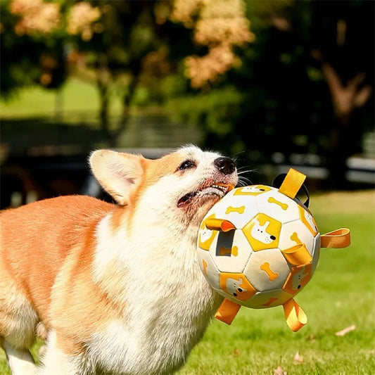 Dog Interactive Football Toys Children Soccer Outdoor Training
