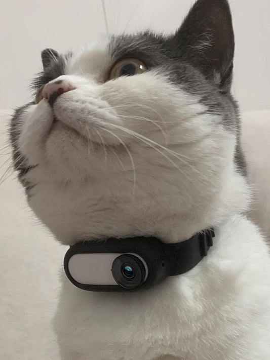 Pet Supplies Cat And Dog Collar Camera Indoor And Outdoor Wireless
