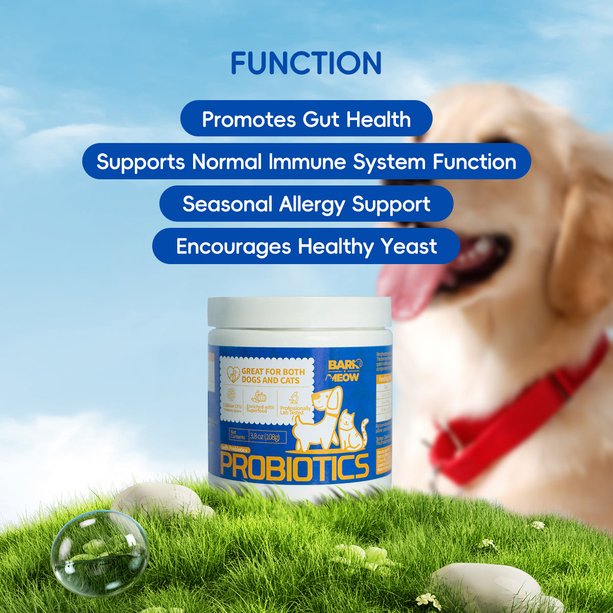 Bark And Meow Probiotics For Dogs Cats 7 Tailored Strains