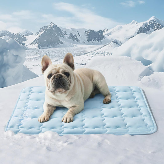Machine-washable Cooling Pet Ice Mat