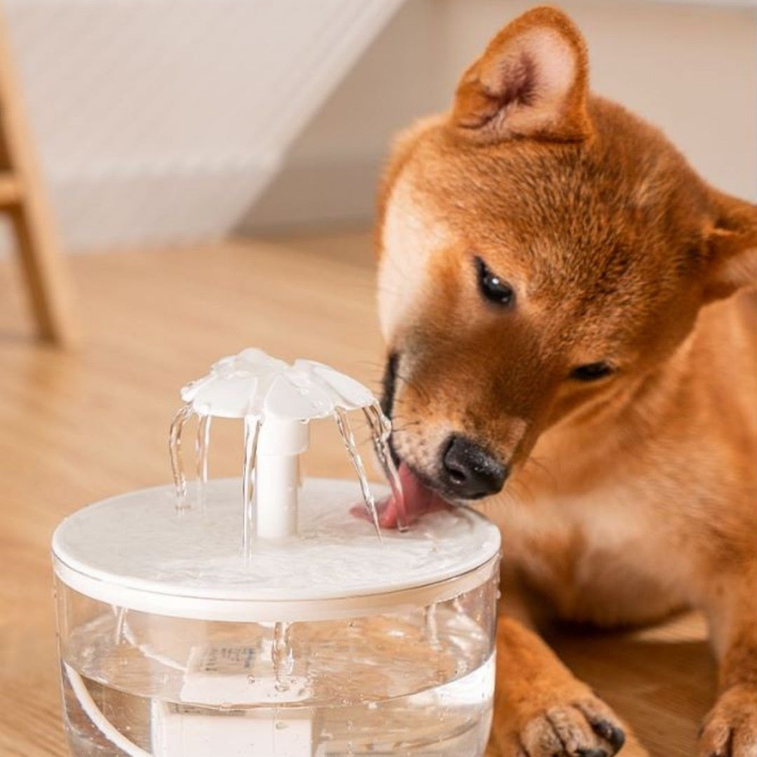 All-season Automatic Circulating Filtered Large-capacity Pet Water