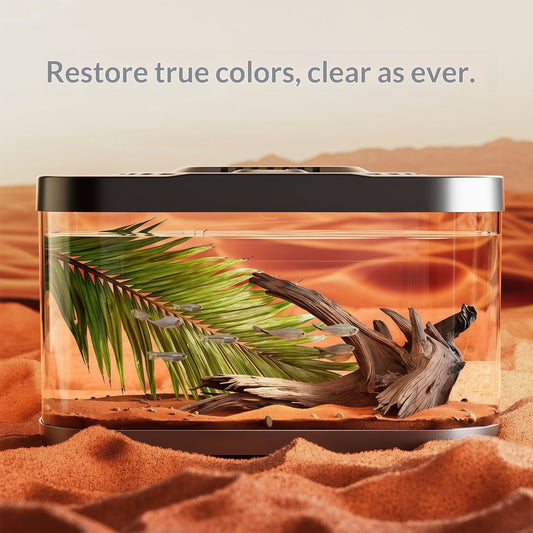 Transparent Plastic Fish Tank Aquarium Terrarium Decoration Office