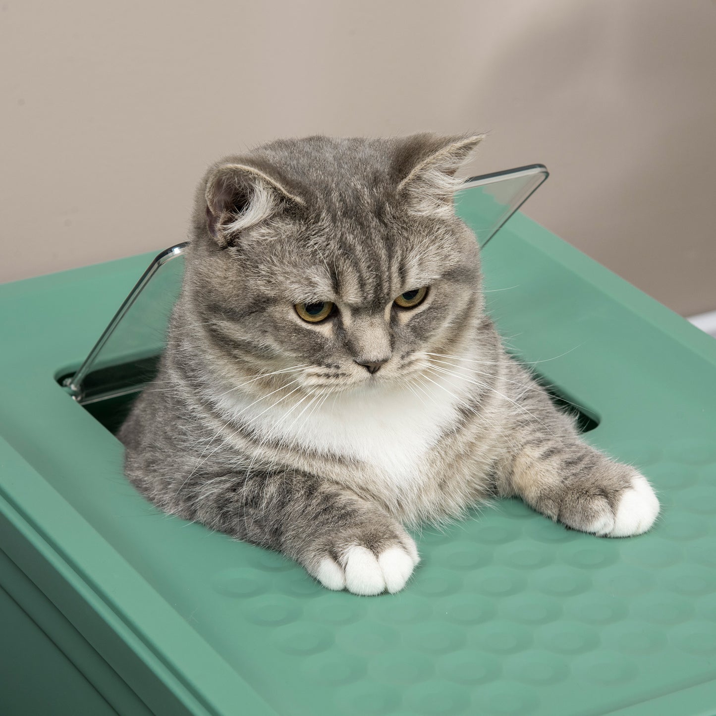 Fully Enclosed Cat Litter Box Portable Pet Toilet With Spoon Large