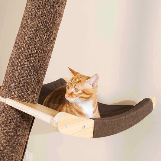 Solid Wood Large Cat Climbing Frame Litter Tree One Shelf