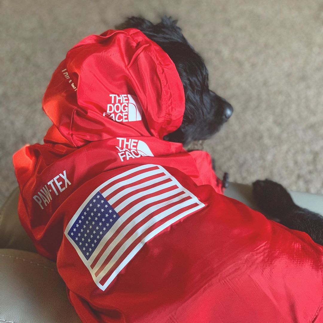 Windproof And Rainproof Dog Large Raincoat