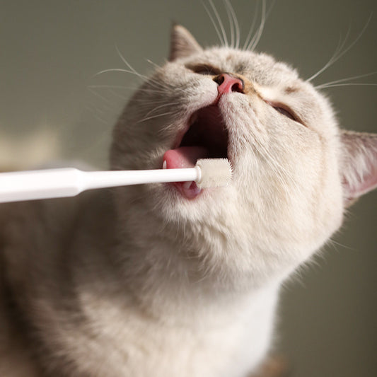 Pet Dog Cat Toothbrush 360 Degrees Oral Cleaning Teeth Improve Bad