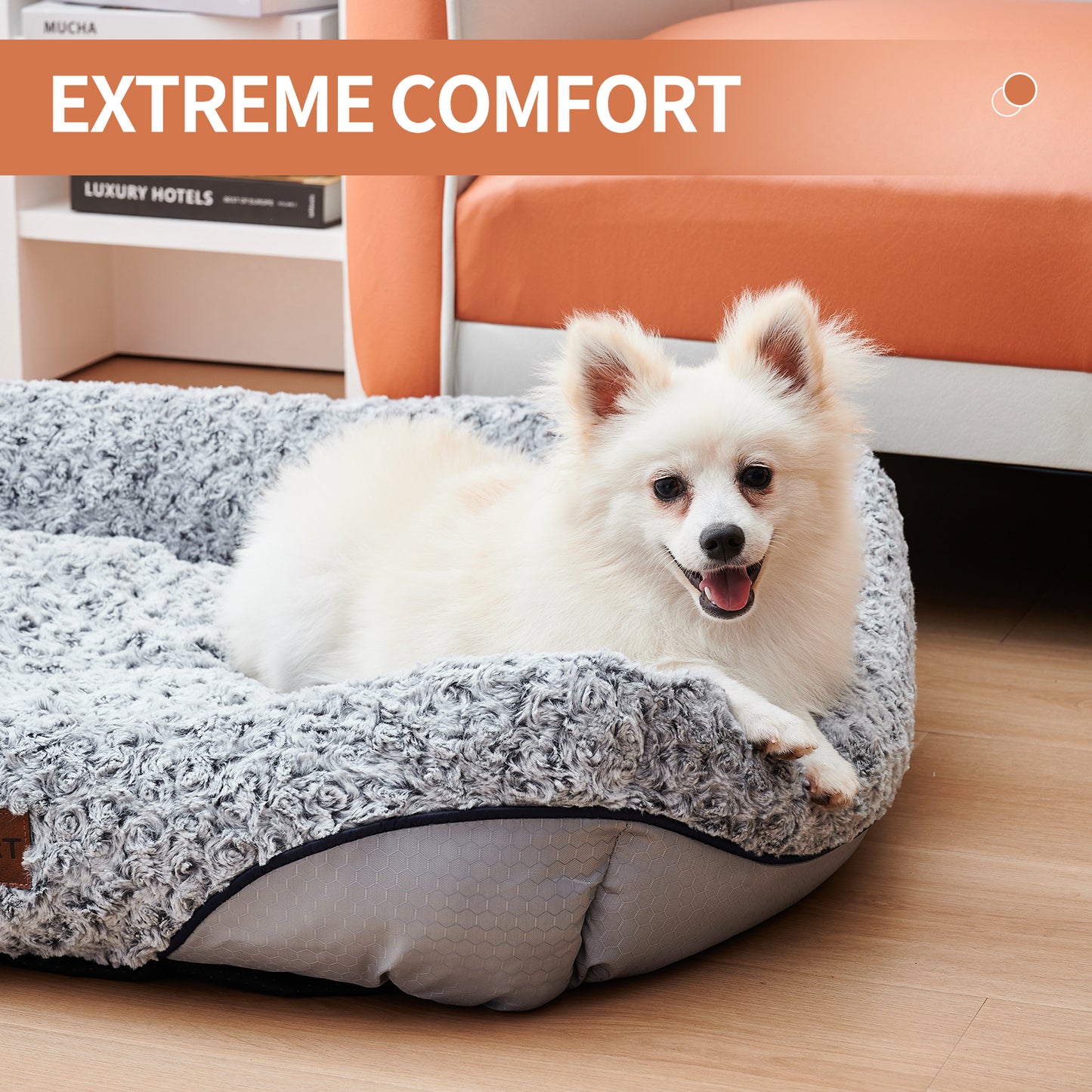 Swirl Rose Velvet Dog Beds For Small Medium Dogs Removable Cushion