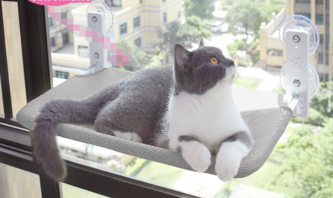Cat Suction Cup Window Glass Hammock Pet Pets Products