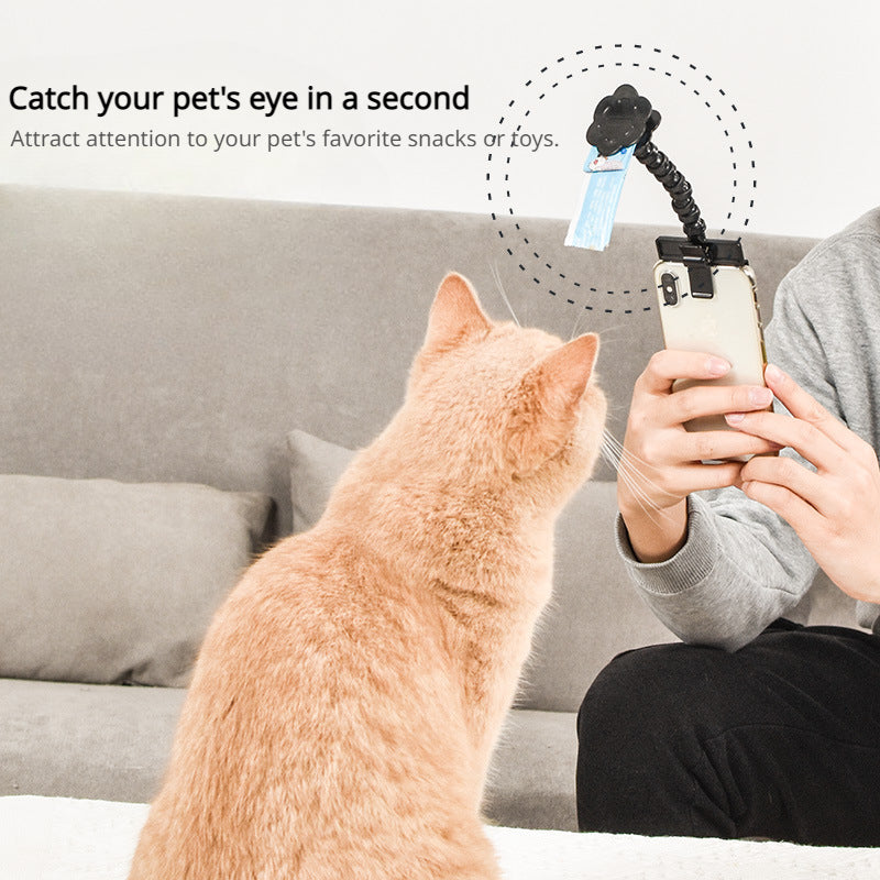 Pet Photo Artifacts Cats Dogs Look At The Lens Toy Cell Phone