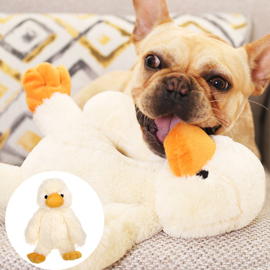 Toys & Play