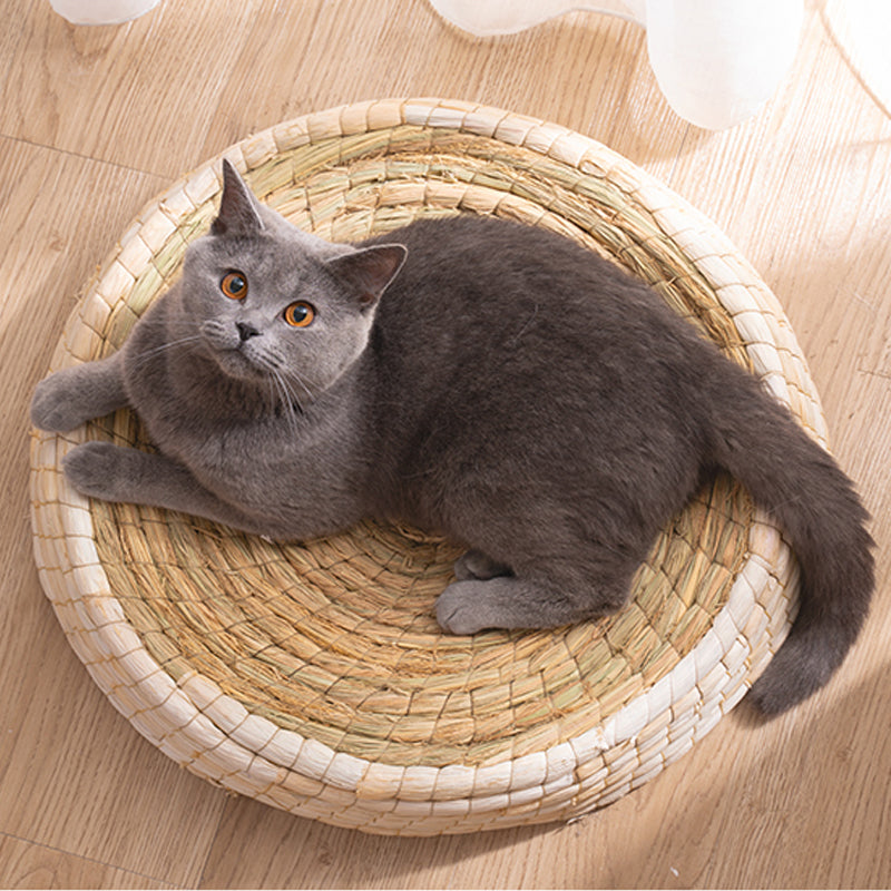 Shop for Cats