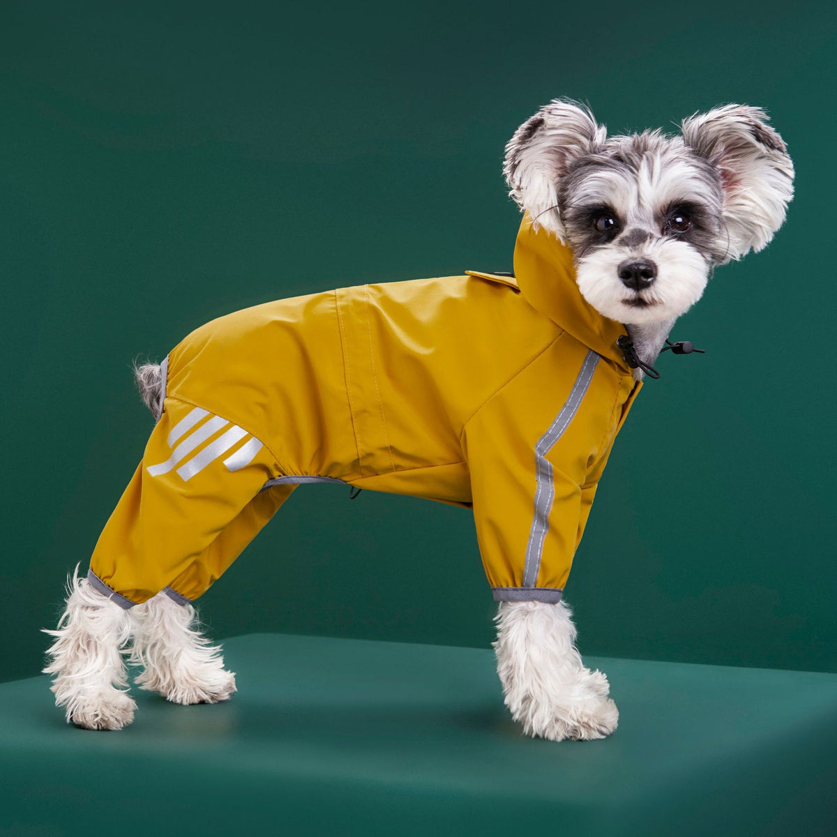 Pet Supplies Dog All-inclusive Four-legged Waterproof Raincoat
