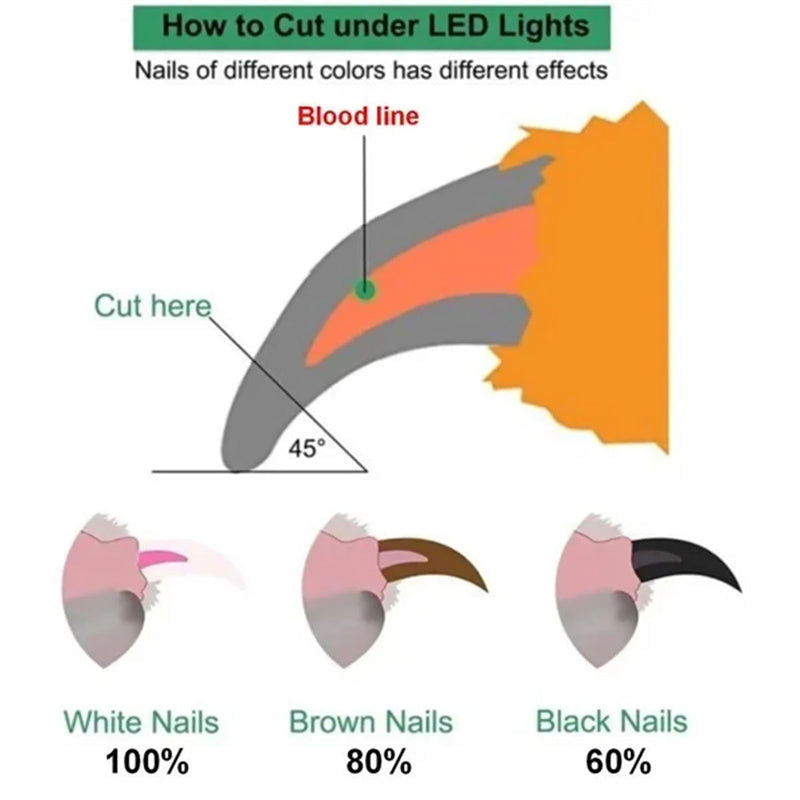 Pet Nail Clippers With LED Light Dogs Cat Scissors Professional