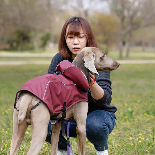 Pet Pu Raincoat Clothes Medium And Large Portable Universal