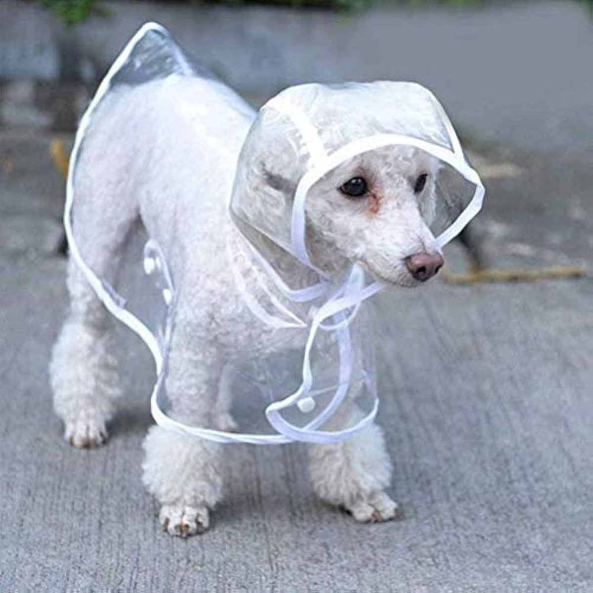 Clear Raincoat For Small Medium Dogs Pet Waterproof Clothes With