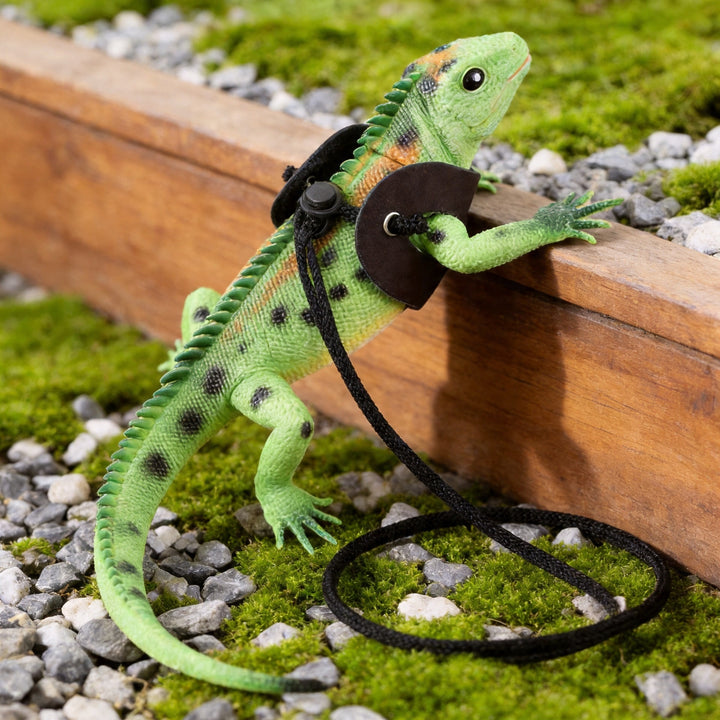 Lizard Harness and Leash