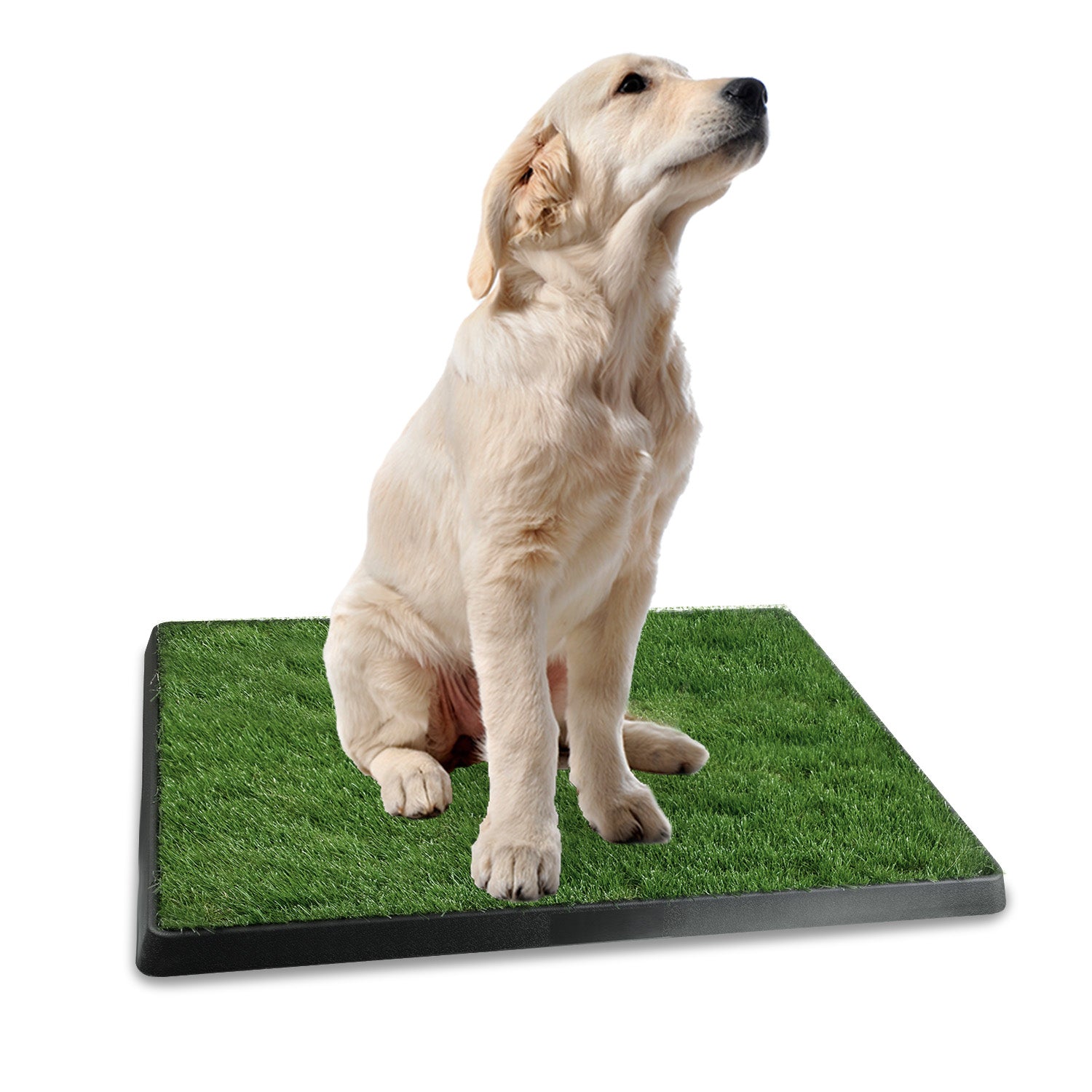 1pc Dog Potty Training Artificial Grass Pad Pet Cat Toilet Trainer