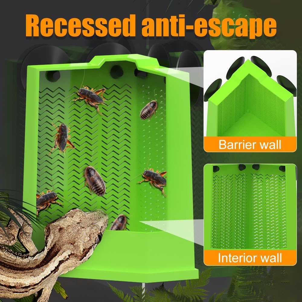 Bearded Dragon Feeder Corner Reptile Box Wall-mounted Terrarium