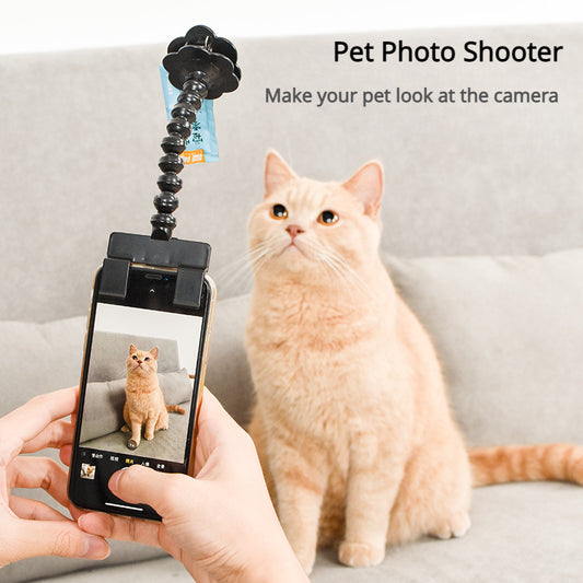 Pet Photo Artifacts Cats Dogs Look At The Lens Toy Cell Phone