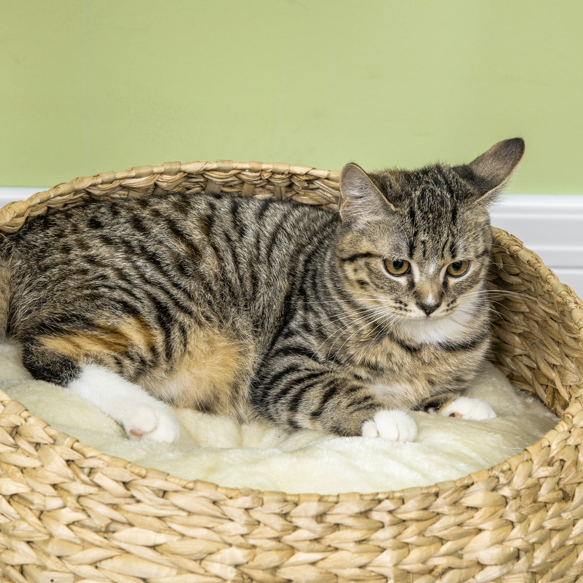 72cm Cat Tree Kitten Tower With Sisal Scratching Post Two Beds Toy