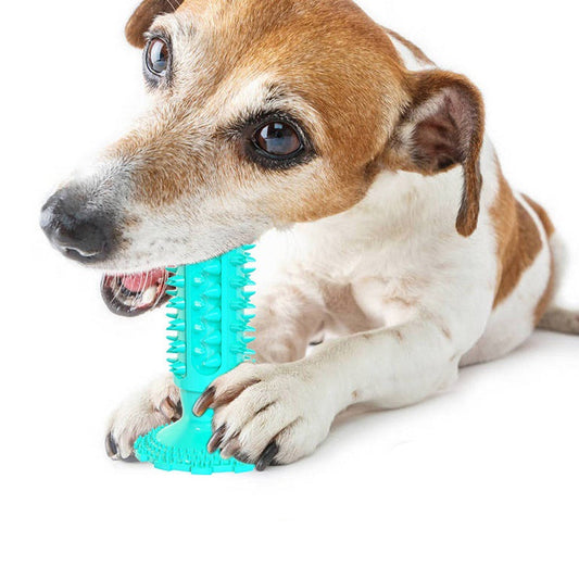 Teeth Cleaning Dog Toothbrush Sucker Molar Stick Bite Toy
