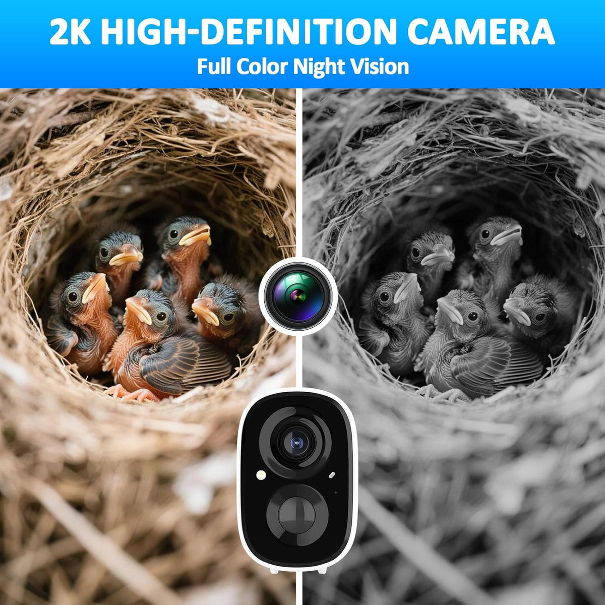 Smart Bird Houses For Outside Solar Powered 4mp Birdhouse Camera
