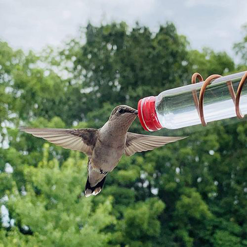 Garden Bird Feeder Supplies Hummingbird Drinker Suction Cup Easy To