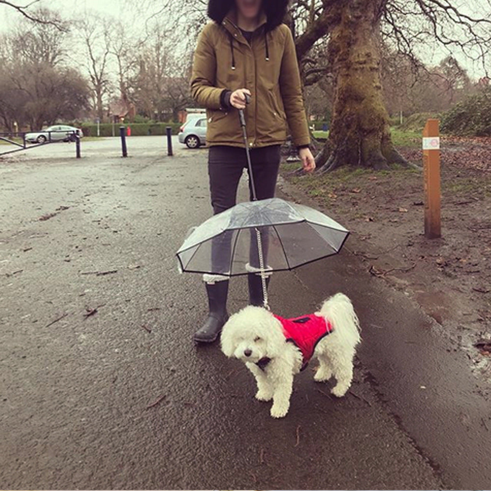 Dog's Transparent Umbrella With Traction Chain Removable Pet