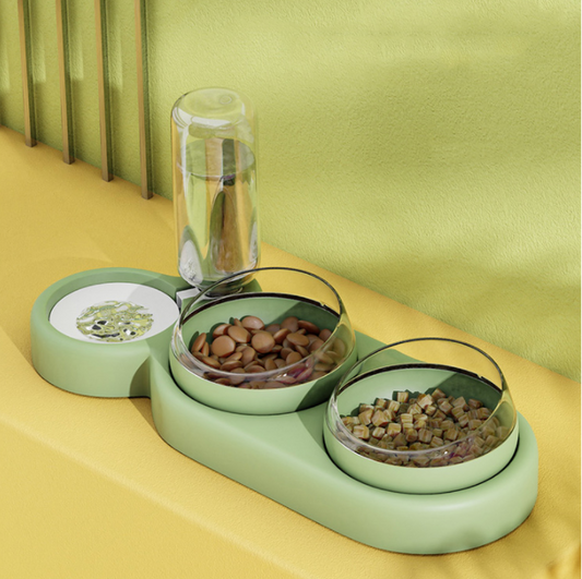 Pet Cat Bowl Automatic Feeder Dog Food With Water Fountain Double