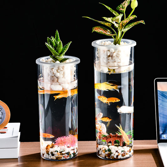 Living Room Micro Landscape Desktop Ecological Pot Transparent