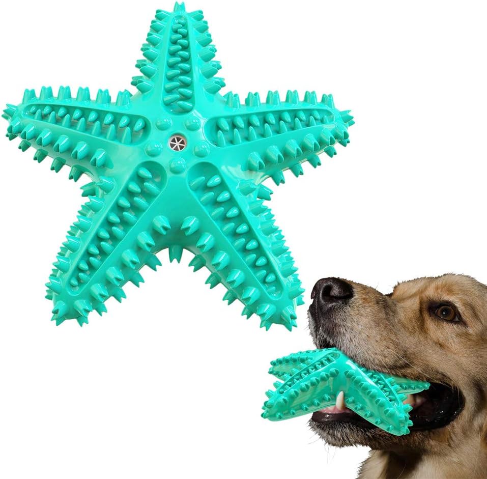 Sounding Starfish The Natural Toothbrush For Small And Medium Dogs