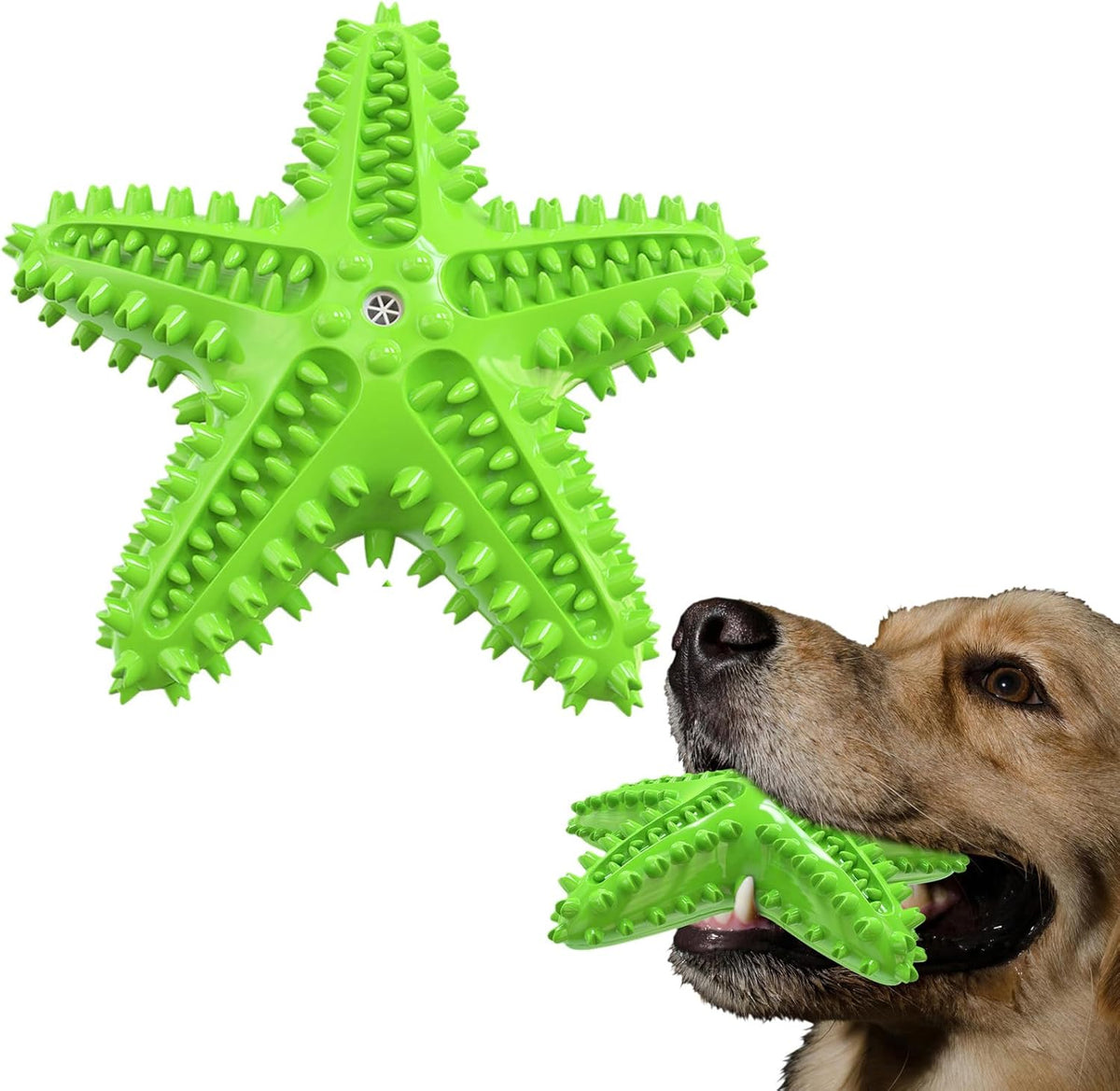 Sounding Starfish The Natural Toothbrush For Small And Medium Dogs