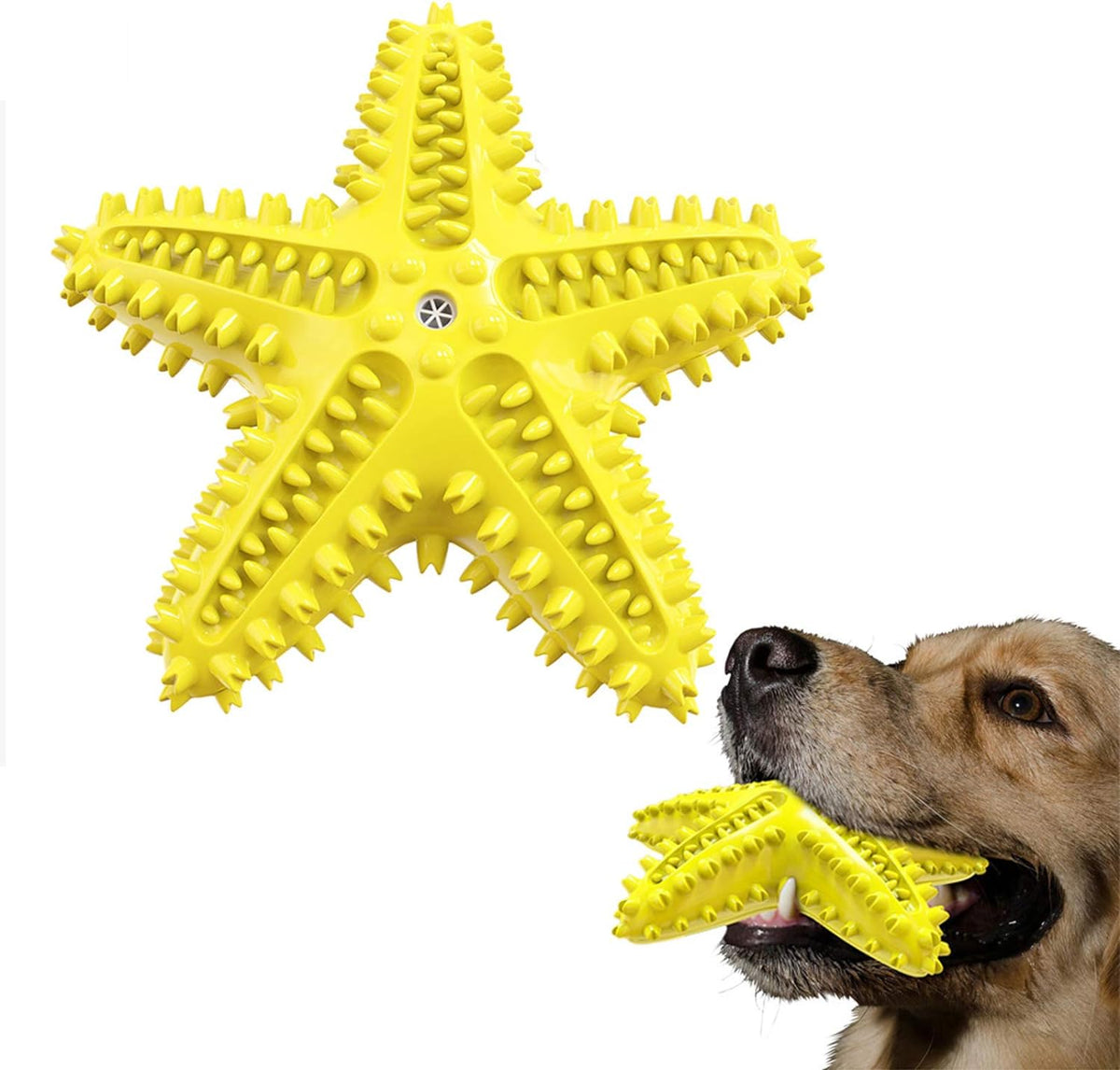 Sounding Starfish The Natural Toothbrush For Small And Medium Dogs