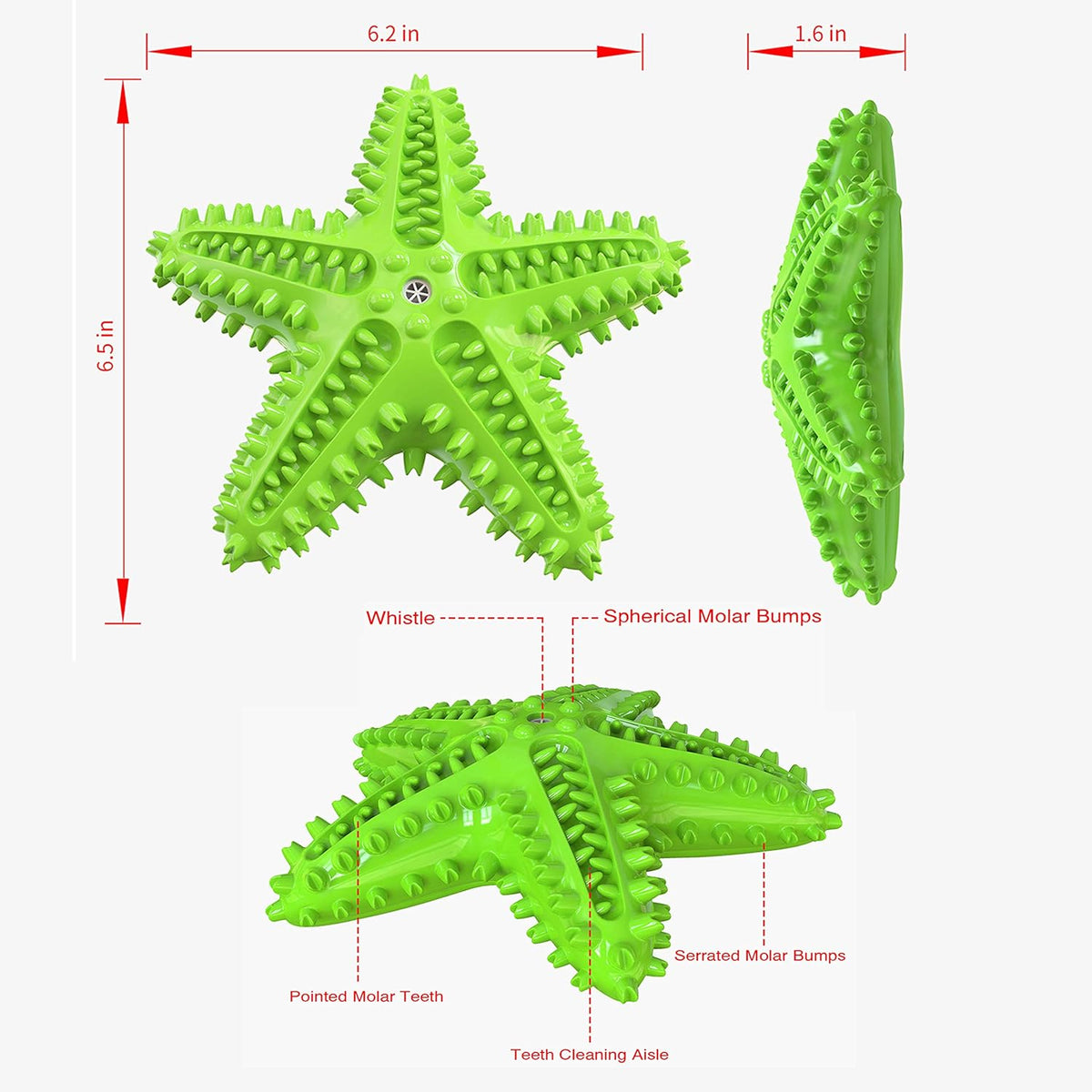 Sounding Starfish The Natural Toothbrush For Small And Medium Dogs