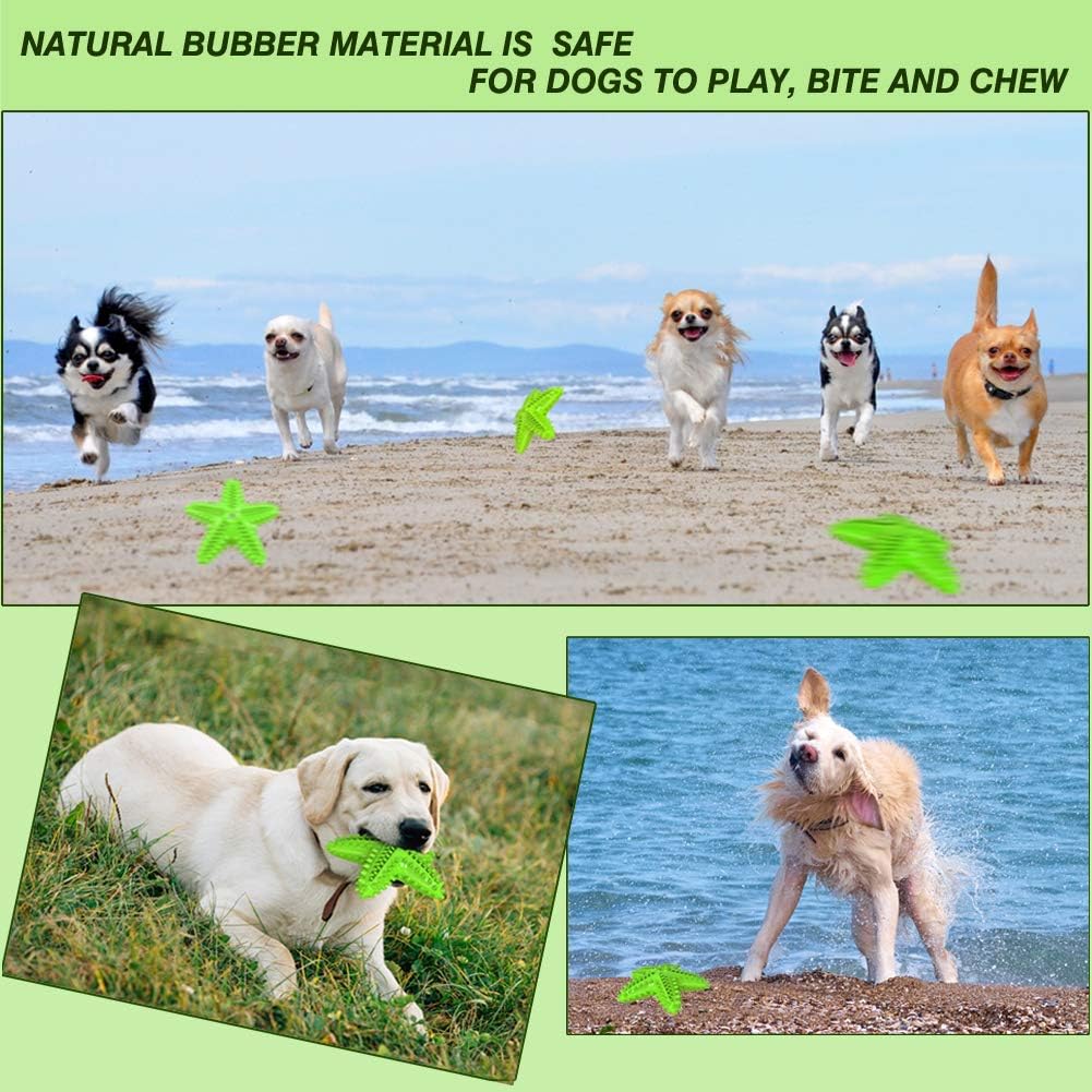 Sounding Starfish The Natural Toothbrush For Small And Medium Dogs