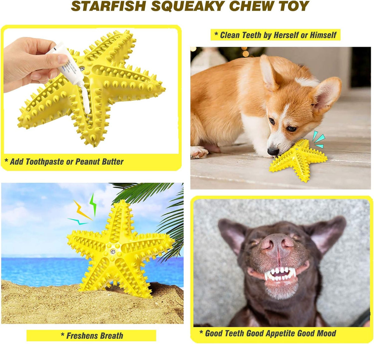 Sounding Starfish The Natural Toothbrush For Small And Medium Dogs