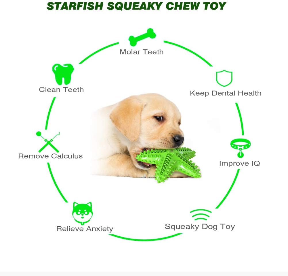 Sounding Starfish The Natural Toothbrush For Small And Medium Dogs