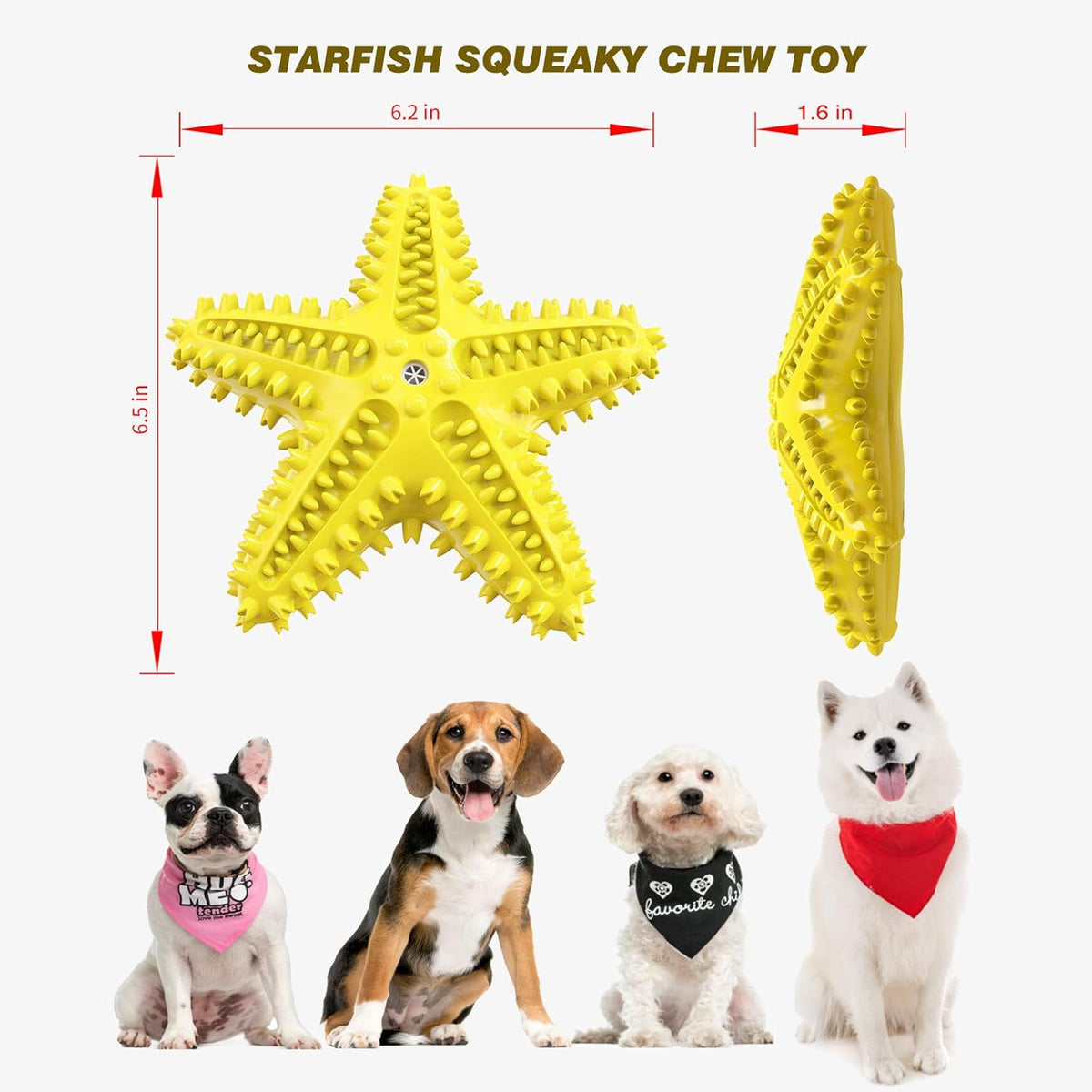 Sounding Starfish The Natural Toothbrush For Small And Medium Dogs