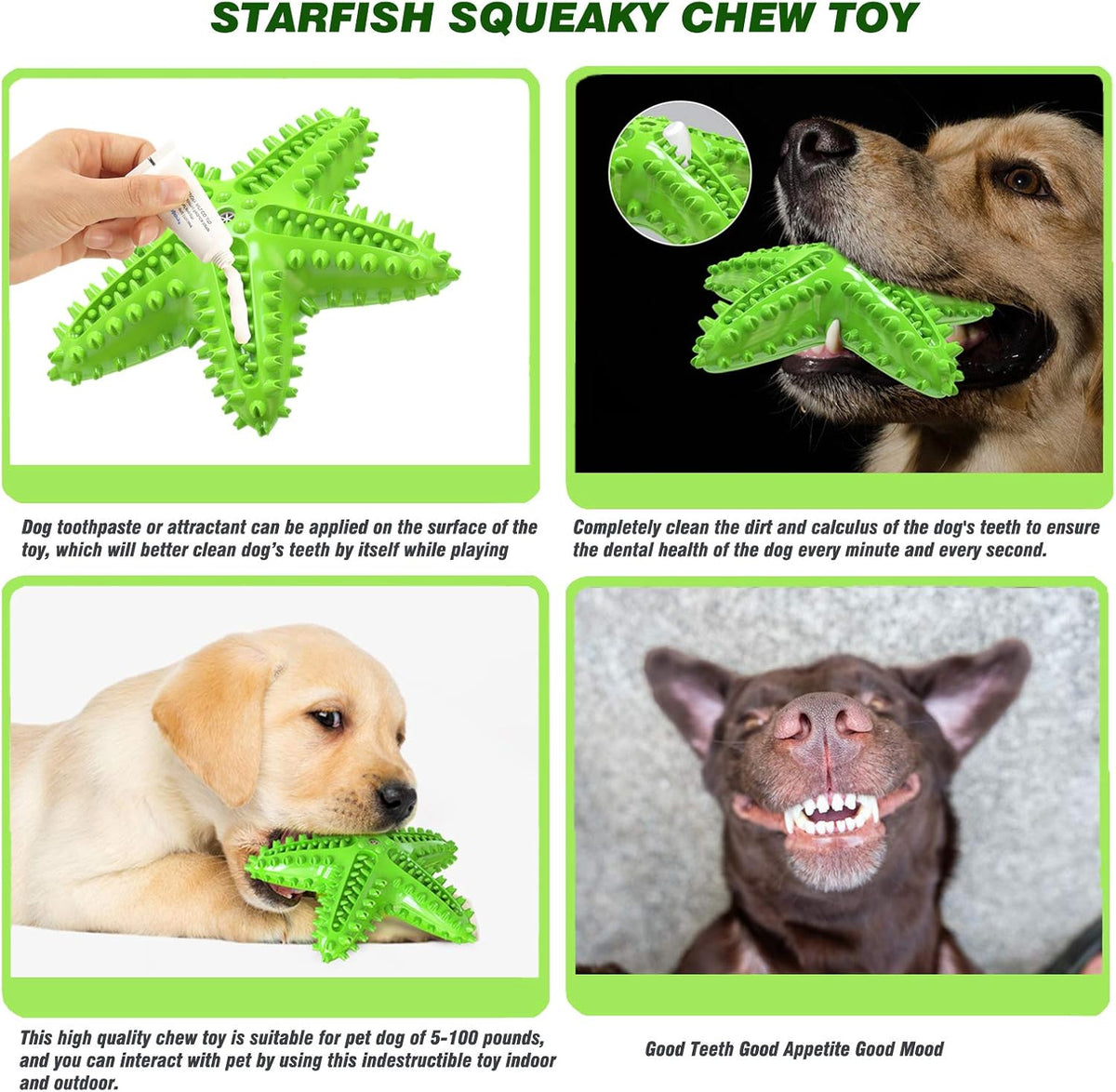 Sounding Starfish The Natural Toothbrush For Small And Medium Dogs
