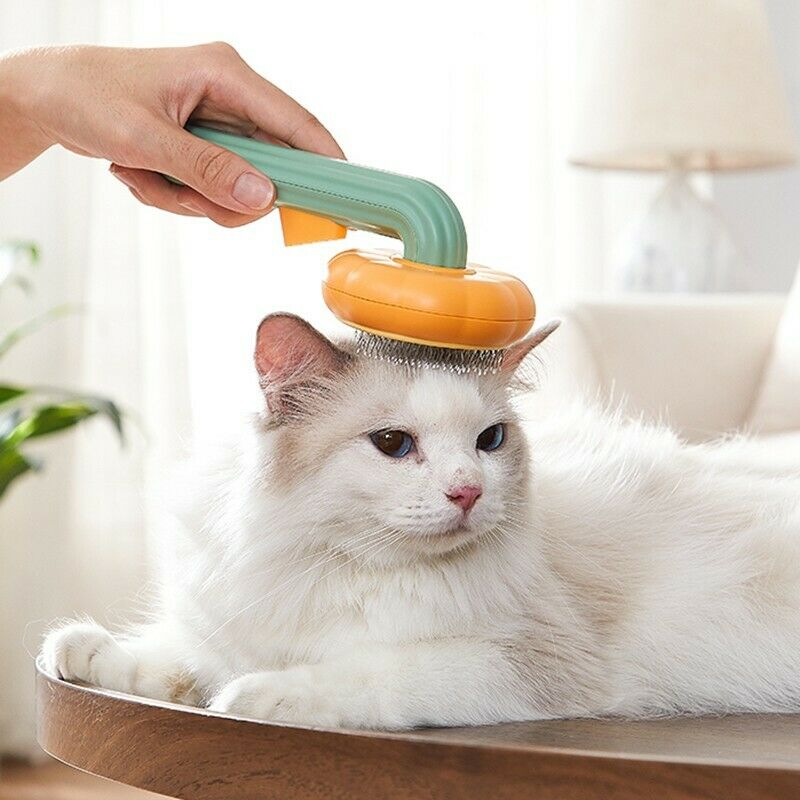 Pet Pumpkin Brush Pet Grooming Self Cleaning Slicker For Dogs Cats