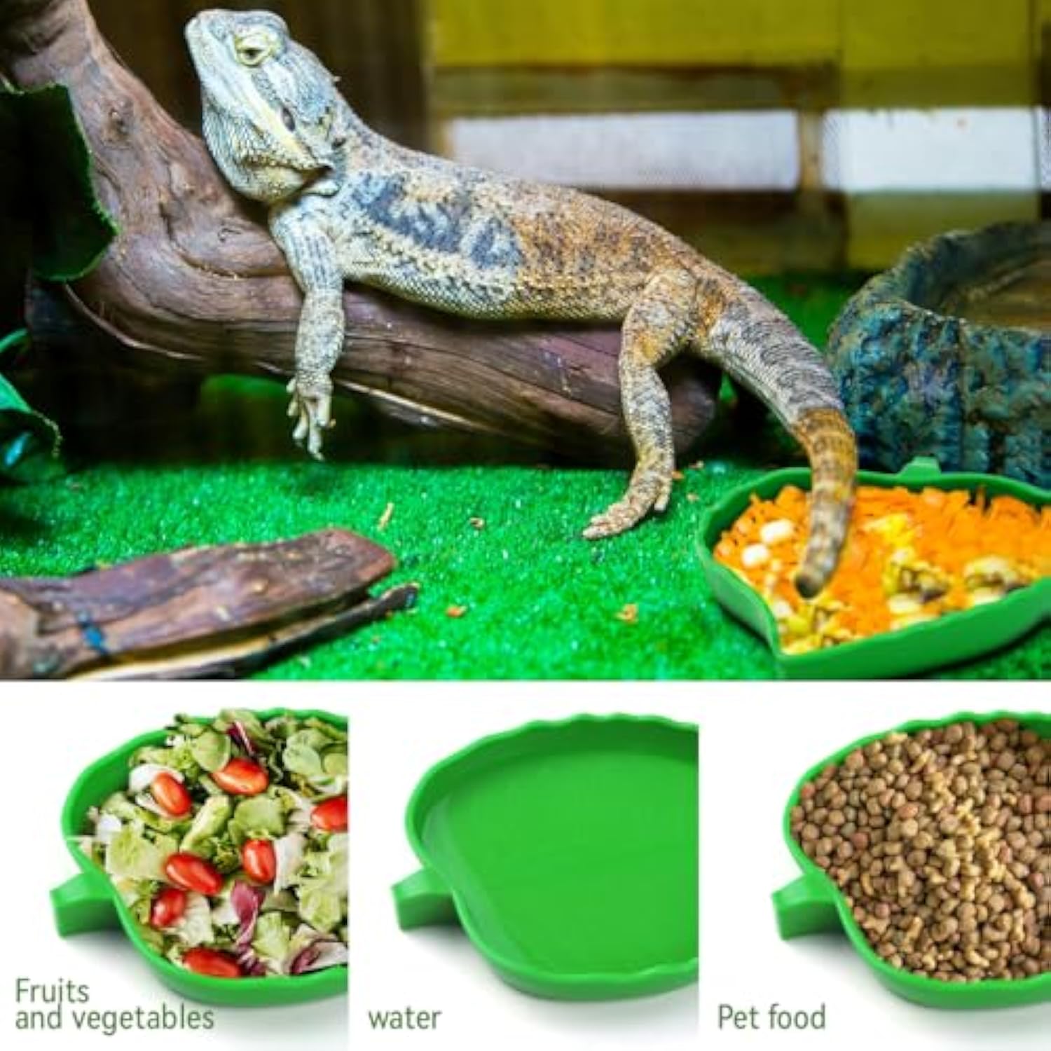 2 Pcs Leaf Reptile Food Water Bowl Plate Dish For Tortoise Lizards