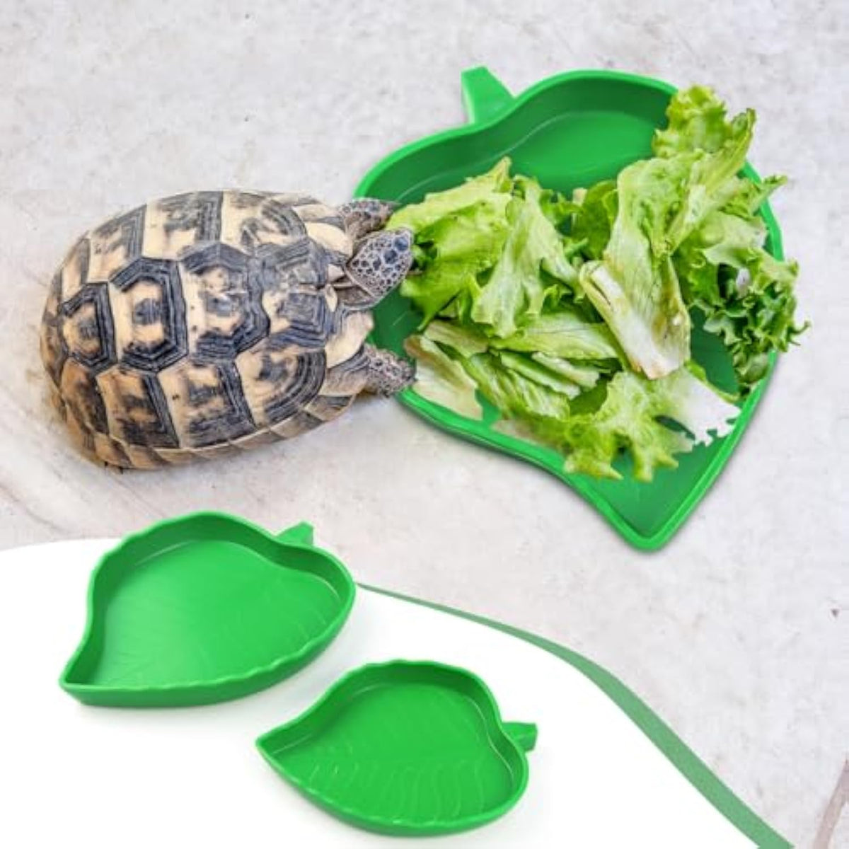 2 Pcs Leaf Reptile Food Water Bowl Plate Dish For Tortoise Lizards