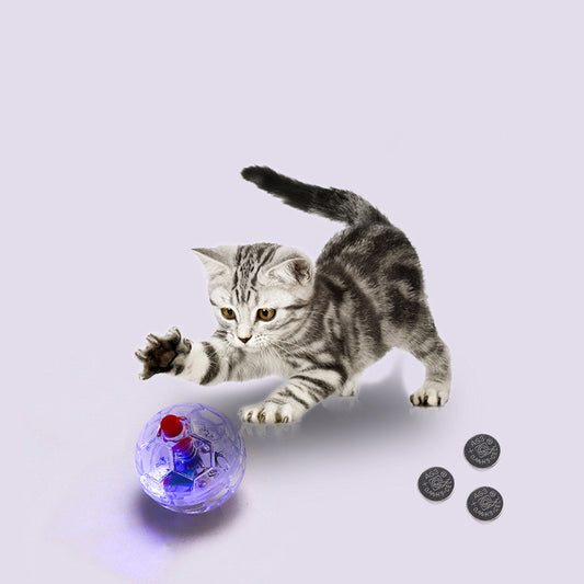 Cat Dog Toy Ball New Fashion Glowing Transparent Plastic Pet