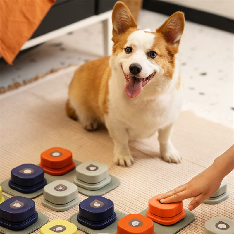 4 Colors Pet Communication Button One-click Prevent Physical