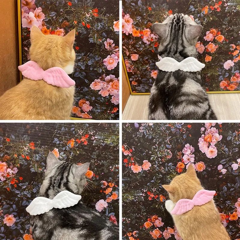 New Cat Specific Pet White Collar Angel Wing Accessories Outdoor